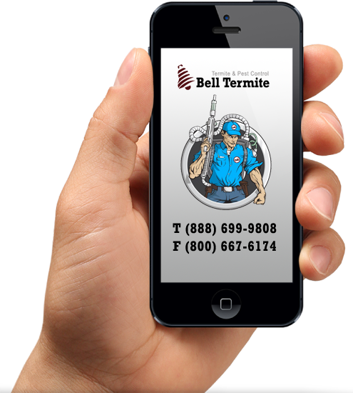 Bell Termite offers FREE Termite Inspection and Free Pest Inspection in Southern California
