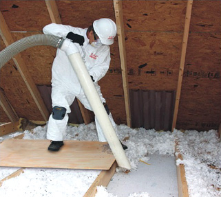 How to Get Rid of Pests in Your Attic?Axatax